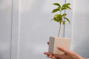 ここなら必ず希望するマリッジリングにであえます